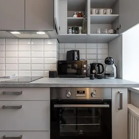 In A Renovated Property, 30 M2 Apartamento Riga