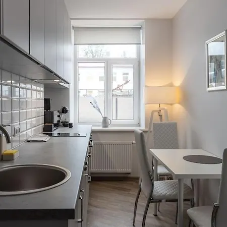 In A Renovated Property, 30 M2 Apartment Riga