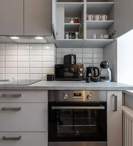 In A Renovated Property, 30 M2 Apartment Riga