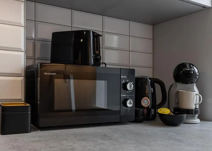 Apartment In A Renovated Property, 30 M2 Riga