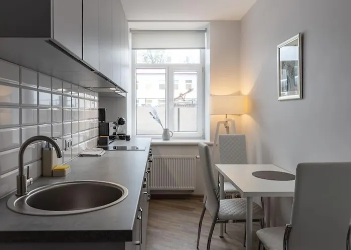 In A Renovated Property, 30 M2 Apartment Riga